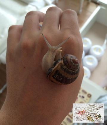 หอยบนมือ-edit