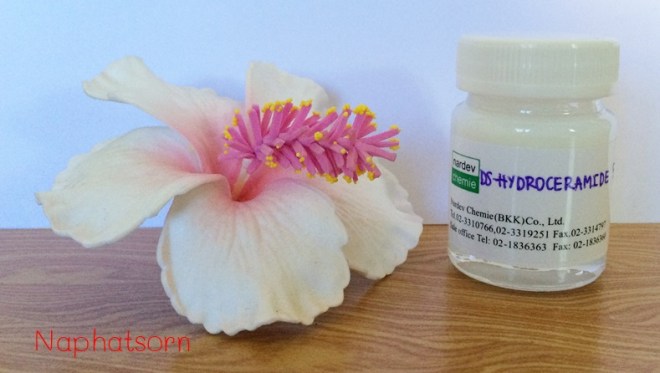ceramide 1