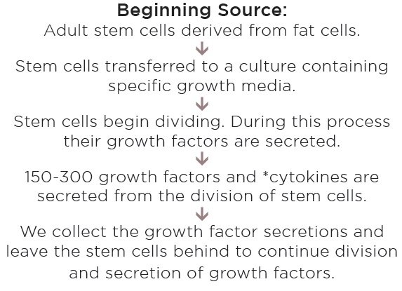 สกัดเซลล์