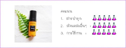 คะแนน nov