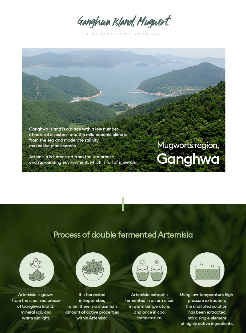 Artemisia_essence_061