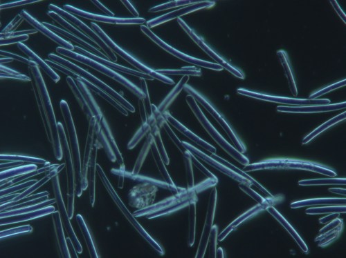 20181221150393799379