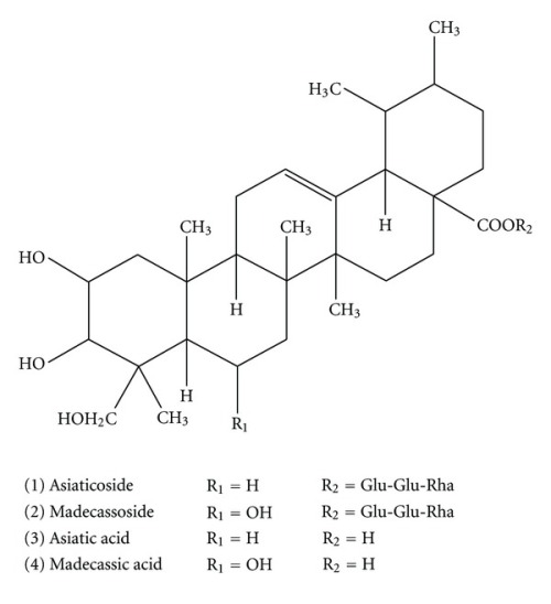 Chemical-structures-of-asiaticoside-madecassoside-asiatic-acid-and-madecassic-acid
