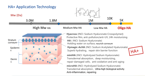 Hya หลายขนาด